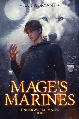 9781641088107.jpg
